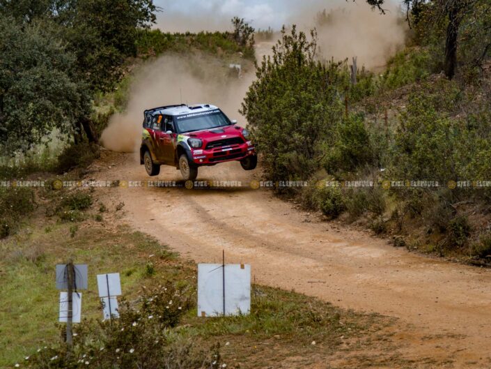 WRC Portugal 2012